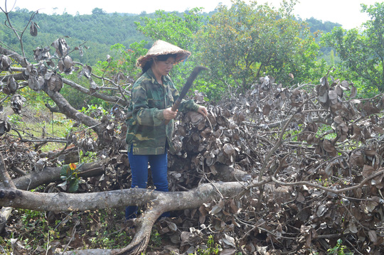 Đắk[-]Nông:[-]Kiến[-]nghị[-]xử[-]lý[-]các[-]sai[-]phạm[-]liên[-]quan[-]đến[-]dự[-]án[-]của[-]Công[-]ty[-]Long[-]Sơn[-]